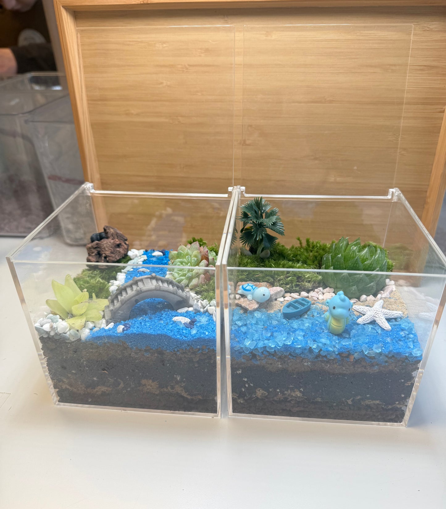 Micro landscape DIY