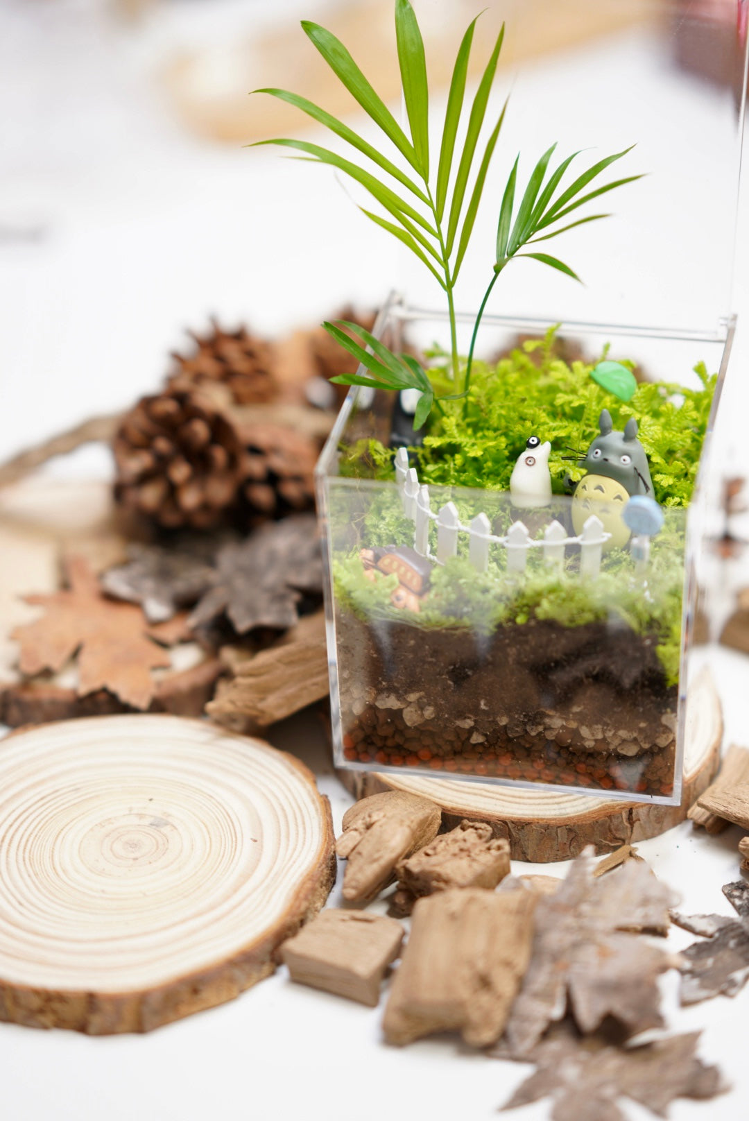 Micro landscape DIY – You need time