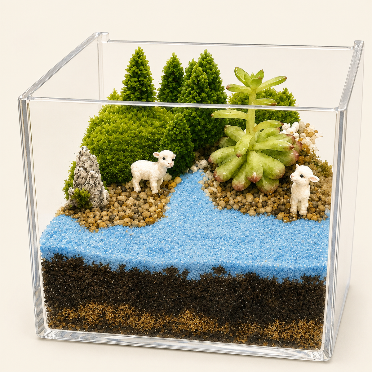 Micro landscape DIY Box