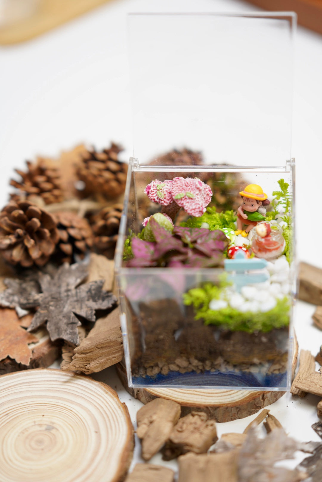Micro landscape DIY （second half price）