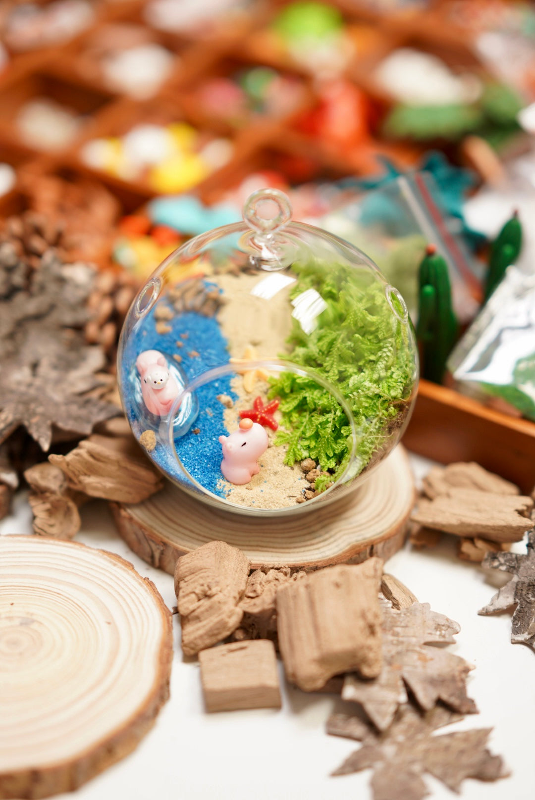 Micro landscape DIY （second half price）