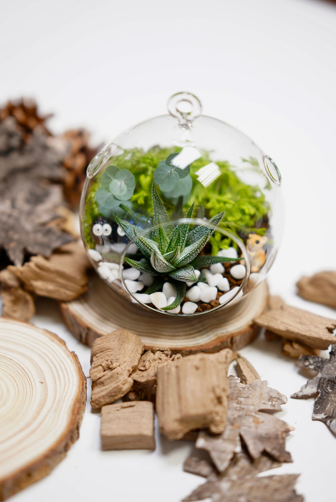 Micro landscape DIY （second half price）