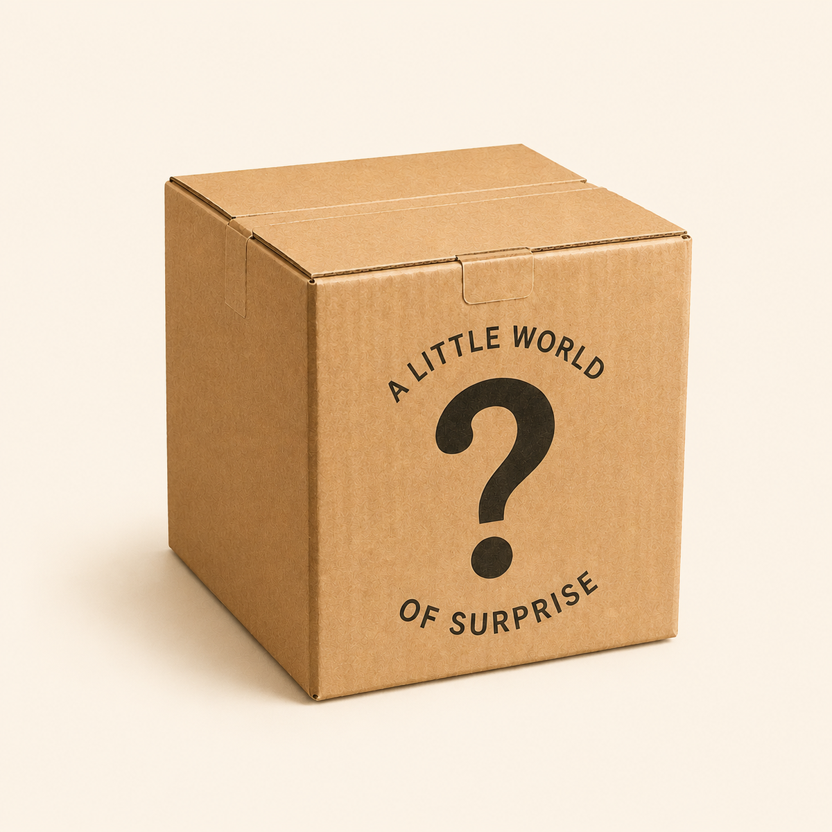 Micro landscape DIY MYSTERY BOX