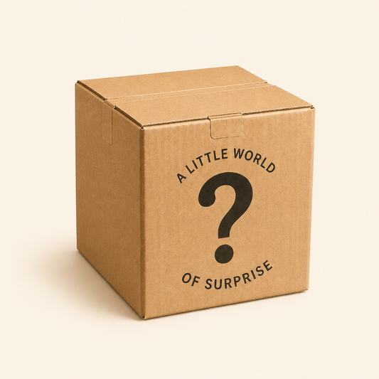 Micro landscape DIY MYSTERY BOX